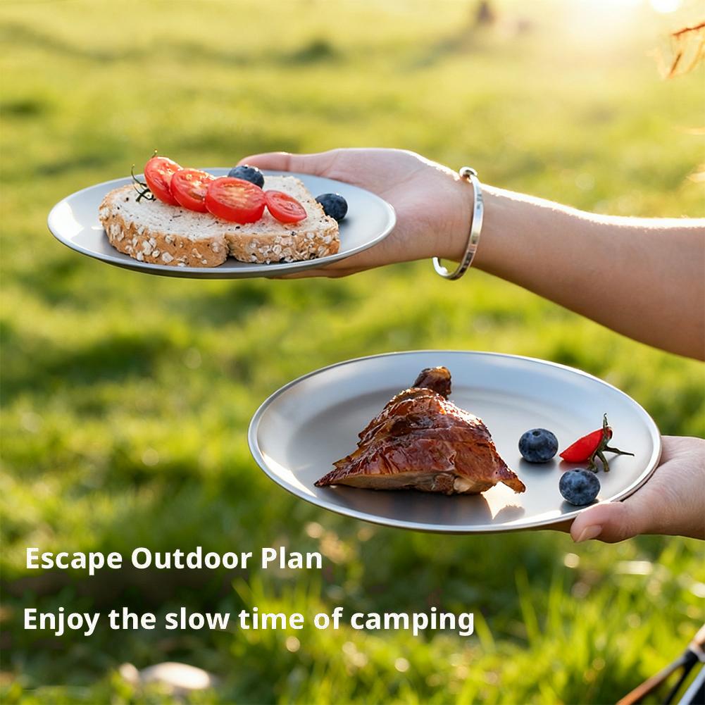 1/2Pcs Titanium Outdoor Campin - Camping Cooking Plate recensione e prezzo