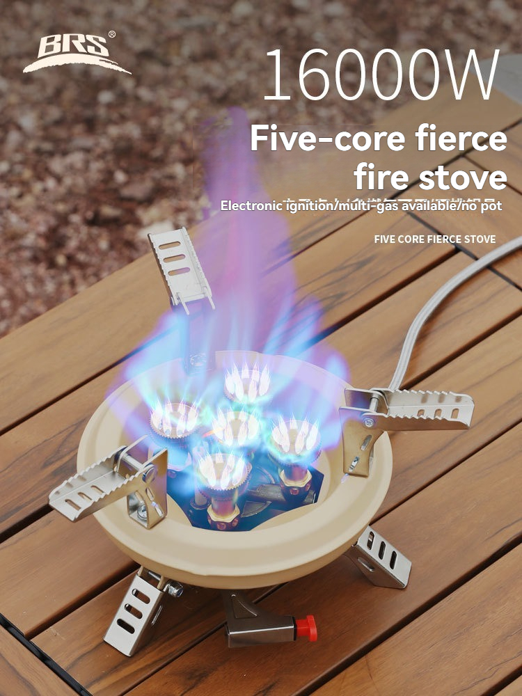 BRS-201A Portable Camping Gas  - Camping Cooking Propane recensione e prezzo