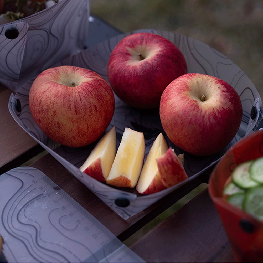 Outdoor Lightweight Folding Ta - Camping Cooking Plate recensione e prezzo